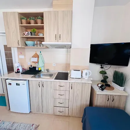 Desi House 301 Cozy * ネセバル